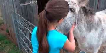 Amistad-nina-y-burro La felicidad y sus opciones Amistad-nina-y-burro La felicidad y sus opciones
